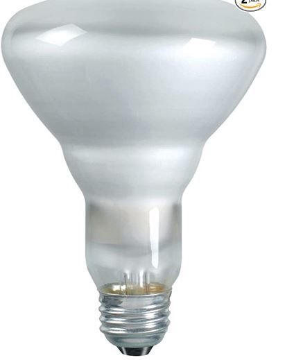 Philips 139279 Soft White 65W-65W : BR40